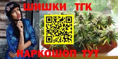 твердый Новодвинск