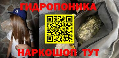 2c-b Новозыбков