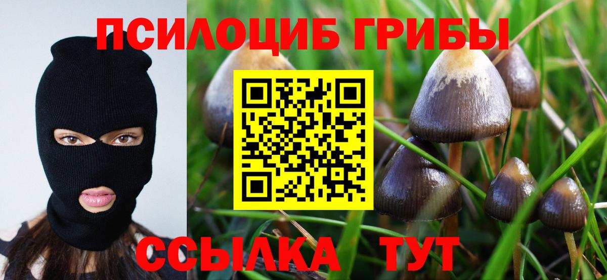 Псилоцибиновые грибы мицелий Скопин